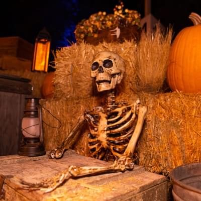 A skeleton at Haunt O’ Ween